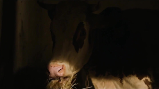 Luna Pilic nude full frontal scenes in Sveta obitelj (HR-2023)