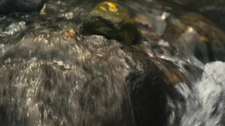 Rob Guinto - Ligaw (2025)