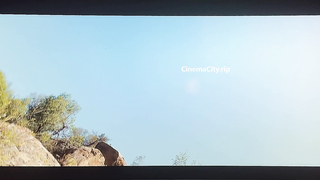 Aubrey Plaza, Margaret Qualley, Lera Abova, etc - Honey Don’t (2025)