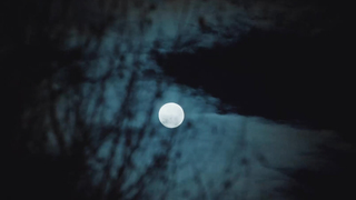 Lux Pascal - Miss Carbón (ES-2025)