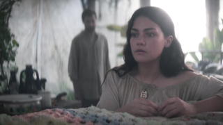 Jessica Alexander, Anja Taljaard - Glasshouse (2021)