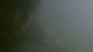 Elena Mavridou - Riverbanks (Ohthes) (2015) HD 1080p