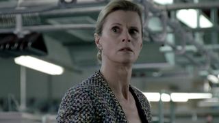 Milena Karas, Leslie Malton - Kreutzer kommt (2010) HD 1080p