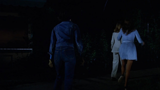 Jo Ann Harris, Lisa Moore, Ginger Mason, Anneka Di Lorenzo, Connie Strickland, etc - Act Of Vengeance (1974) HD 1080p