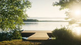 Madeline Zima, Kimberly-Sue Murray, Anne-Julie Proulx, Sheila McCarthy, Kristina Tonteri-Young, Louise Kerr, etc - Love Is the Monster (2025) HD 1080p