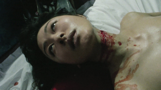 Naoko Iijima, etc - Detective Marugoshi (1993) HD 1080p