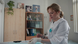 Arina Postnikova, Evgeniya Akhremenko, etc - Professionalnyy sosed s01e02-03 (2026) HD 1080p