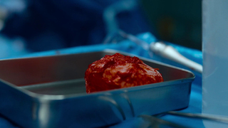 Hina Kagei - Plastic Beauty s01e01-02 (2026) HD 1080p