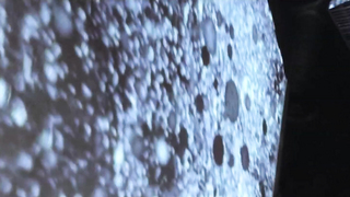 Coco Hjardemaal - Spidse albuer, blødende knæ (2013) HD 1080p