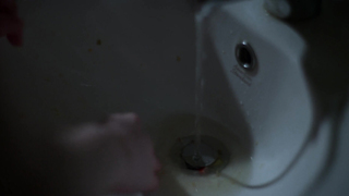 Marta Dusseldorp, Anais Shand - Caterpillar (2026) HD 1080p