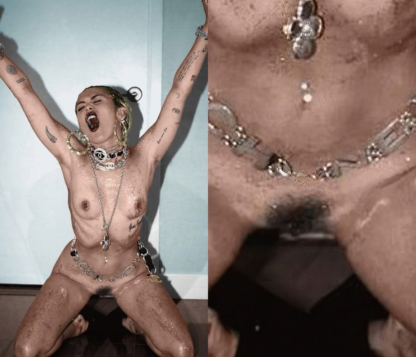 Miley Cyrus Nude Pussy Collection.